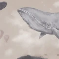 Leikkimielinen valastapetti Borastapeterilta Whales In The Sky 9456w