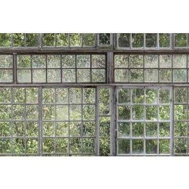 Greenhouse vihrea ikkunatapetti Borastapeterilta 9424w koko kuvio image