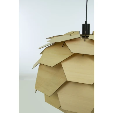 Aneta kattovalaisin Carpatica lahikuva image