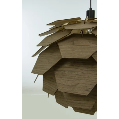 Ruskea kattovalaisin Carpatica anetalta image