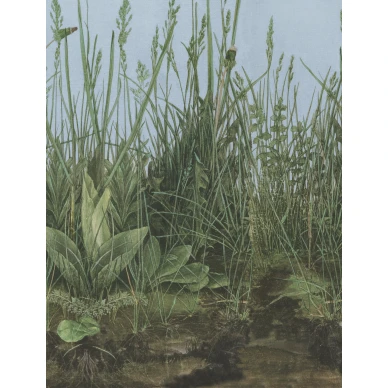 Morning Mist ruohotapetti Borastapeter Studiolta 9473w koko kuvio image