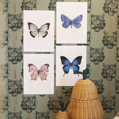 liljebergs perhosjulisteet image