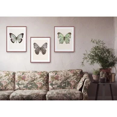 Perhosjulisteet Pareronia Valeria Lutescens vasemmalla Liljebergilta image