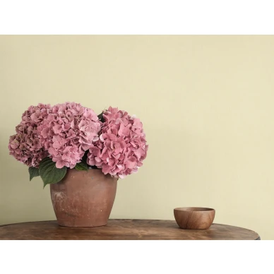 Vaaleankeltainen yksivarinen tapetti Lakeview Tactile 902 37 Ulricehamnin tapettitehtaalta image