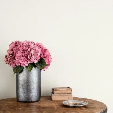 Valkoinen yksivarinen tapetti Lakeview Tactile 902 01 Ulricehamnilta image