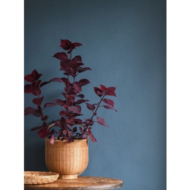 Yksivarinen tapetti tekstiilimaisella pinnalla Lakeview Tactile 902 84 Ulricehamnilta image