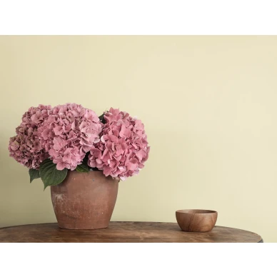 Vaaleankeltainen yksivarinen tapetti Lakeview 901 37 Ulricehamnilta image