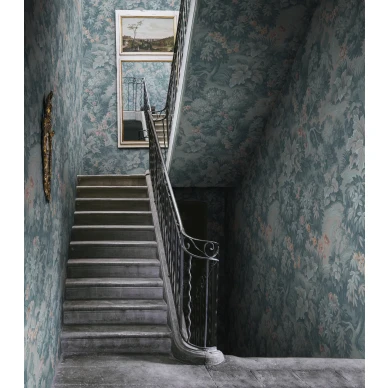 Rapun sininen tapetti The Path Rebel Wallsilta R19244 image