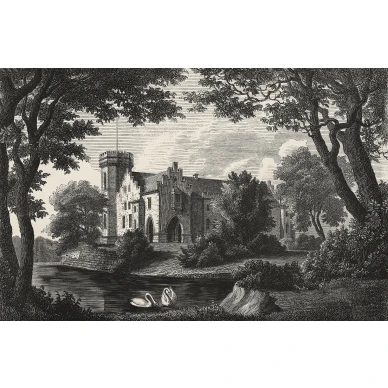 Swan Pond harmaa maisematapetti Rebel Wallsilta R19224 koko kuvio image