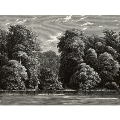 Spring Season harmaa maisematapetti Rebel Wallsilta R19218 koko kuvio image