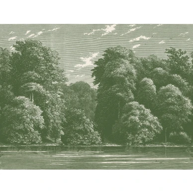 Spring Season vihrea metsatapetti Rebel Wallsilta R19220 koko kuvio image