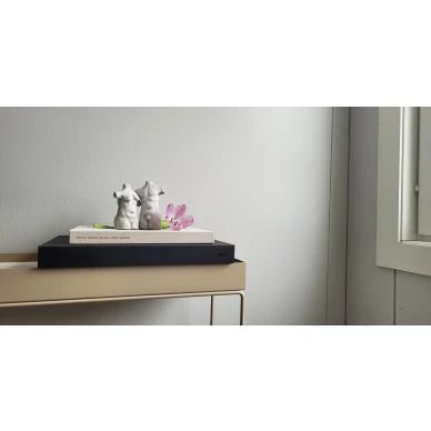 Omnes Idonei Elis ja Alva image