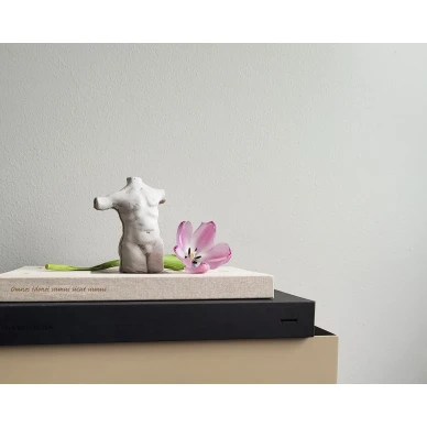 Omnes Idonei Elis patsas image