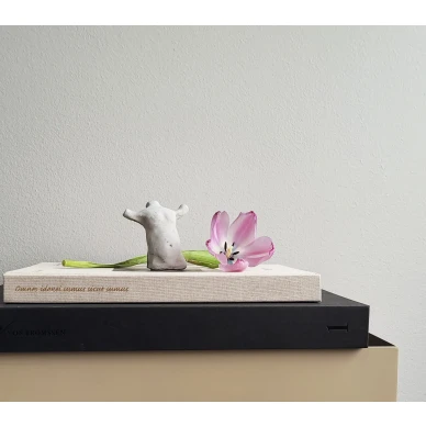 Omnes Idonei Amare patsas image