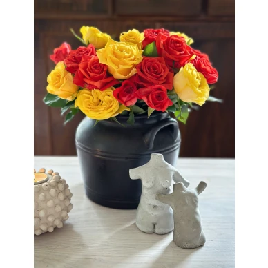 Omnes idonei Alva Amare image