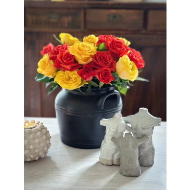 Omnes idonei Alva Elis Amare image