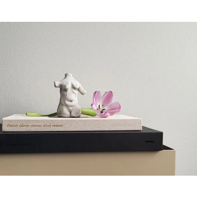 Omnes Idonei Tora patsas v2 image