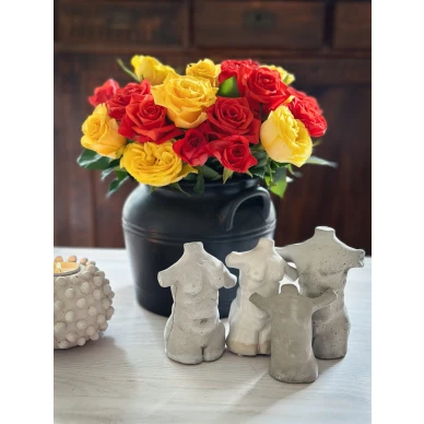 Omnes idonei Tora Alva Amare Elis image