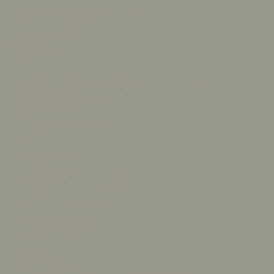 Light Olive Boras Pigment 7558 image