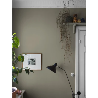 Vaalean vihrea tapetti LightOlive image