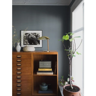 Sininen tapetti MistyLake image