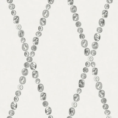 cammei tapetti mustavalkoisena kauniilla cemo teemalla image