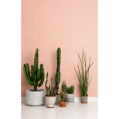 Vaaleanpunainen Coral tapetti on saanut inspiraation koralleista image