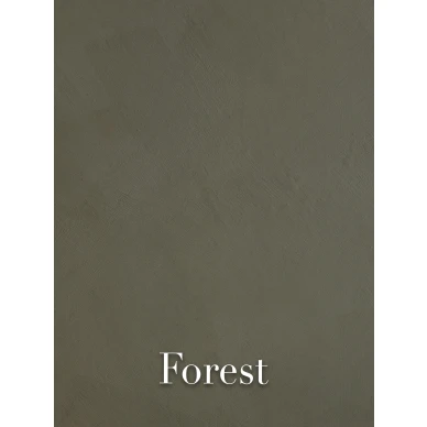 Forest Colours image