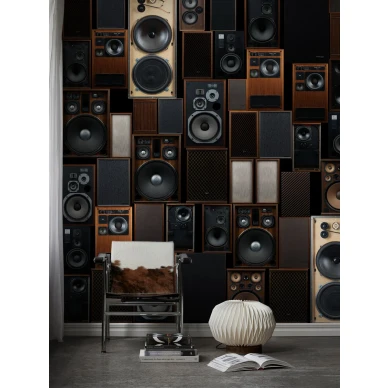 9500W Audio Roomshot image