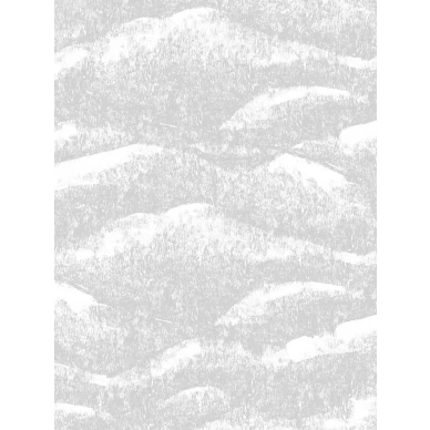 9520W DreamDunes Closeup image