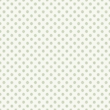 5809 Skogsstjarna Closeup image