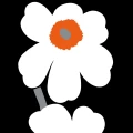 Marimekko Unikko 60th anniversary 25991 muta