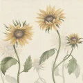 S10527 Sunflowers Yellow Sandberg Wallpaper product