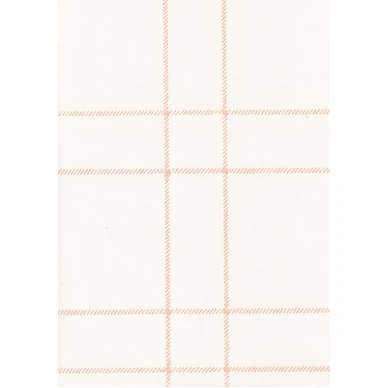 70120 Villaruutu image