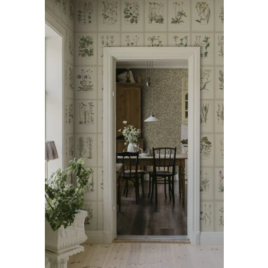 S10508 Botanica Oat Sandberg Wallpaper interior2 image