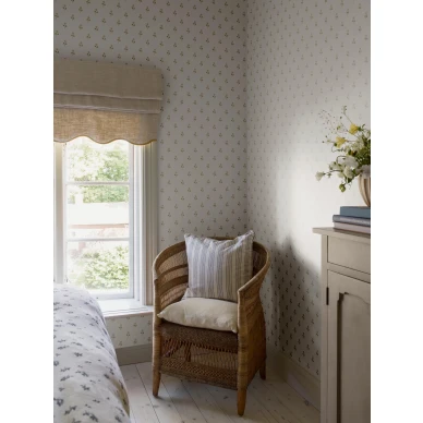 6973 Anemone Roomshot 1 image