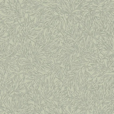 7787 SalixAlba Closeup image