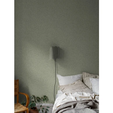 7787 SalixAlba Roomshot 1 image