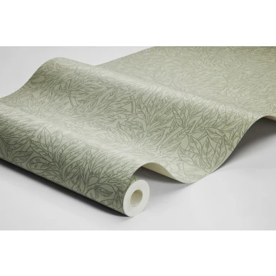 7787 SalixAlba WaveImage image