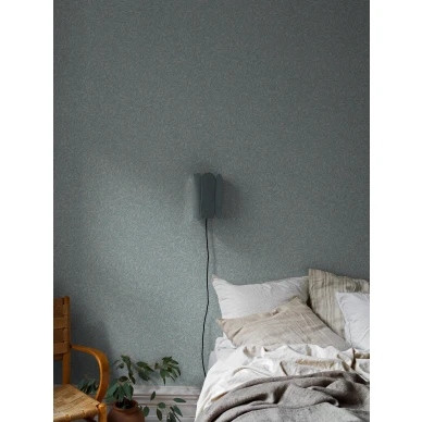 7788 SalixAlba Roomshot 1 image