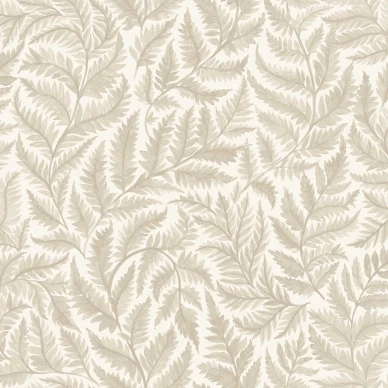 7789 Ferns Closeup image