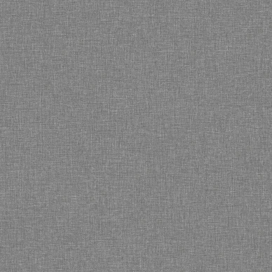 6119 CanvasGraphite Closeup image