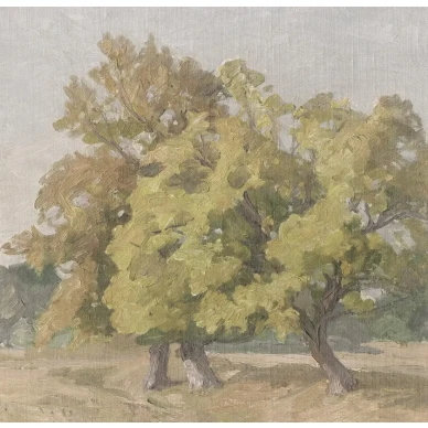 9669W HedgerowLandscape PatternImage image