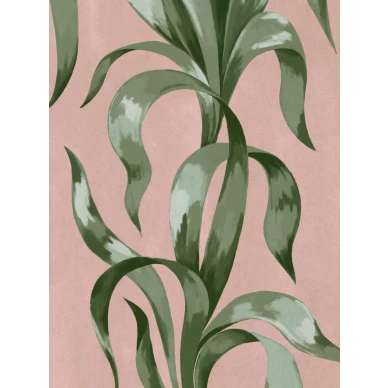 9607W Agave Closeup image