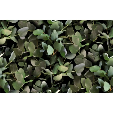 9523W Eucalyptus PatternImage image