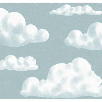 9618w InTheClouds Closeup image