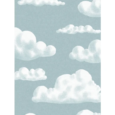 9618w InTheClouds Closeup image