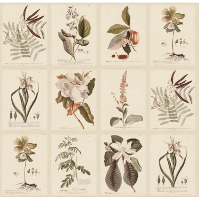 S10599 Flora Sepia Sandberg Wallpaper product image