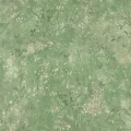 S10605 Juni Green Sandberg Wallpaper product
