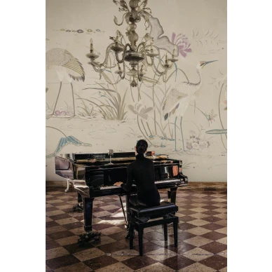 S10418 Seabirds Sandstone Sandberg Wallpaper interior2 image